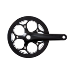 Crank Arm