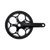 Crank Arm