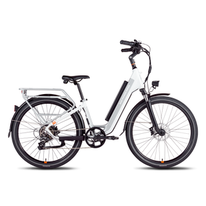 The configured bike