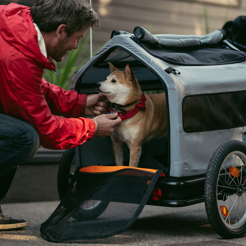 Trailer pet insert with the back panel unzipped, with an owner connecting the leash to his dog.