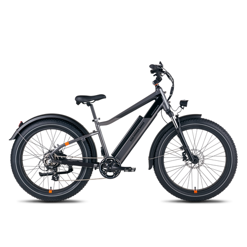 Radrover electric fat tire bike sales