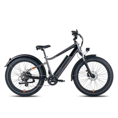 Renting mensual ebike