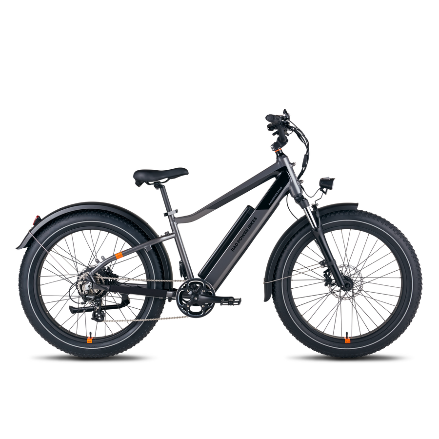 RadRover 6