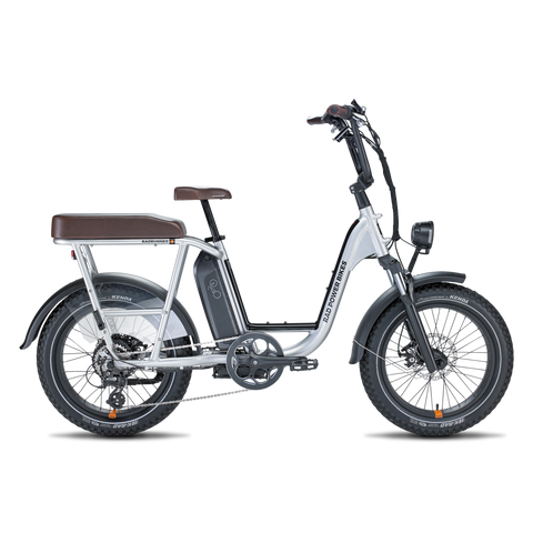 Side view of a silver RadRunner Plus electric cargo bike
