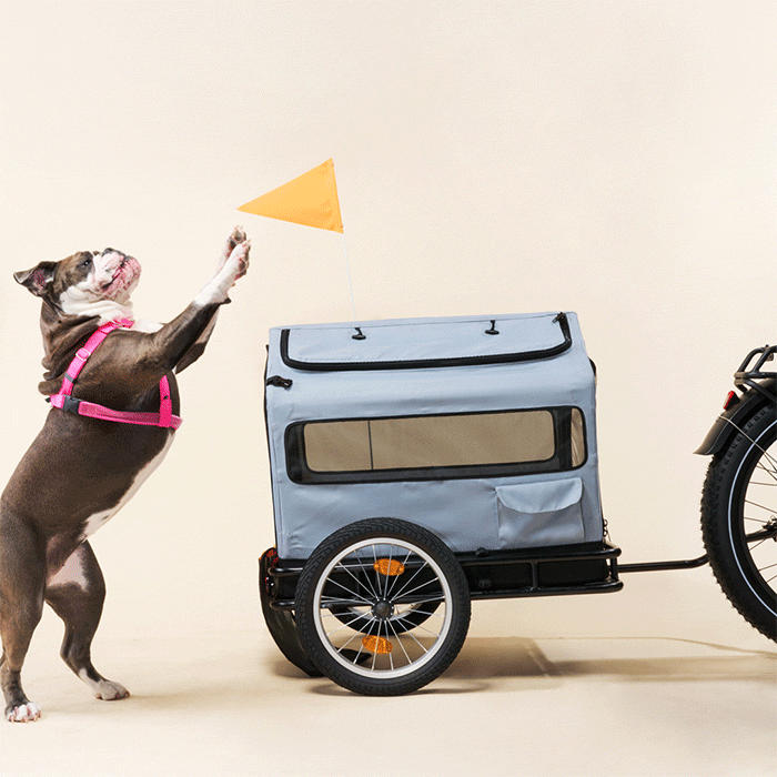 Rad bike trailer sales